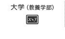 大学（教養学部）