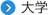 大学