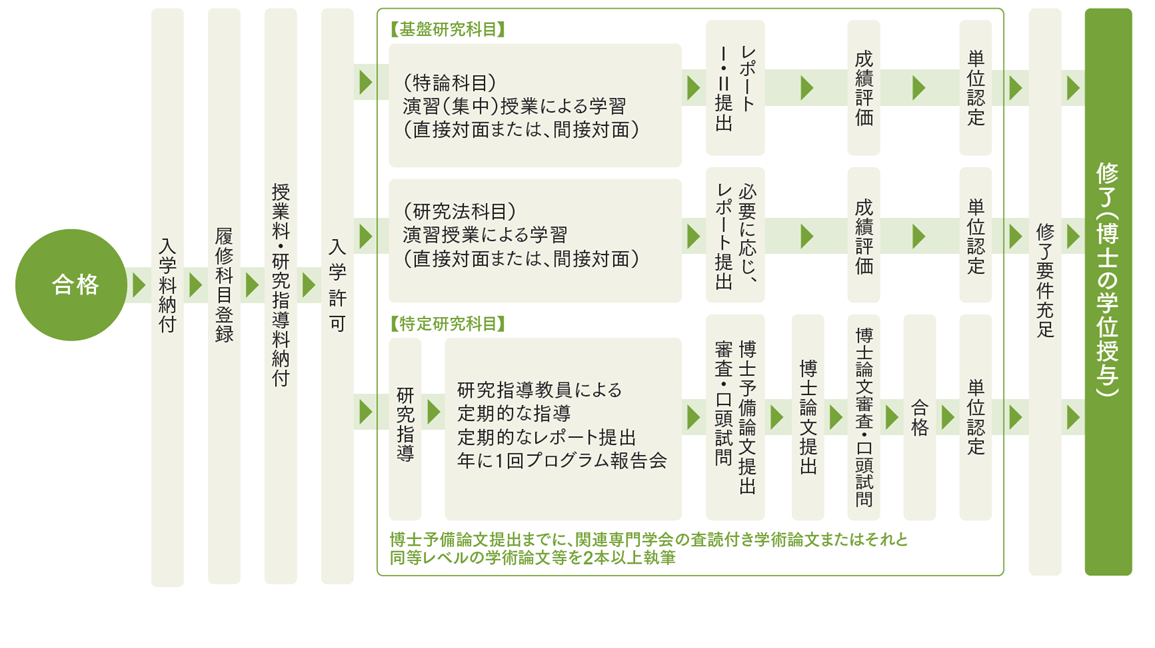 大学院合格から修了（博士の学位授与）までの履修プロセスを示すフロー図です。入学手続き後、基盤研究科目（特論科目・研究法科目）と特定研究科目（研究指導）に分かれて学習・研究を進め、単位を修得します。特定研究科目では博士予備論文および博士論文の提出・審査があり、予備論文提出までに査読付き学術論文等2本以上の執筆が求められます。すべての修了要件を満たすことで学位が授与される流れが示されています。
