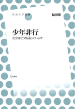 「少年非行　社会はどう処遇しているか」表紙イメージ