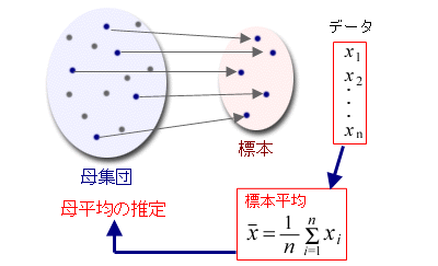母平均の推定の図解