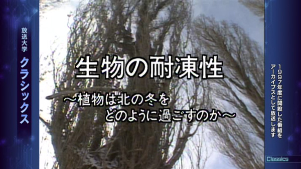 生物の耐凍性～植物は北の冬をどのように過ごすのか～（'97）