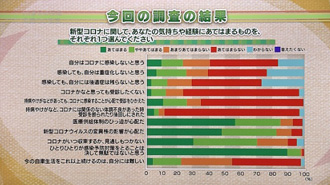 番組のスクリーンショット。「今回の調査の結果」という画面が映っている。