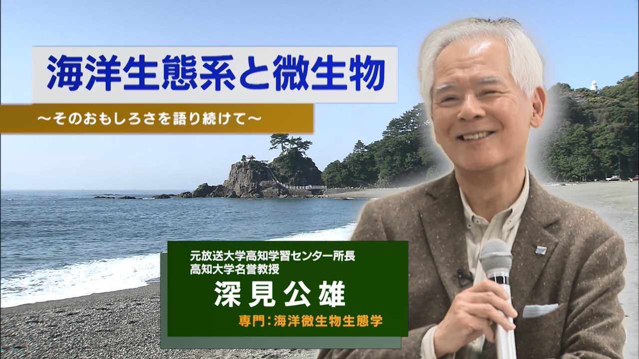 海洋生態系と微生物