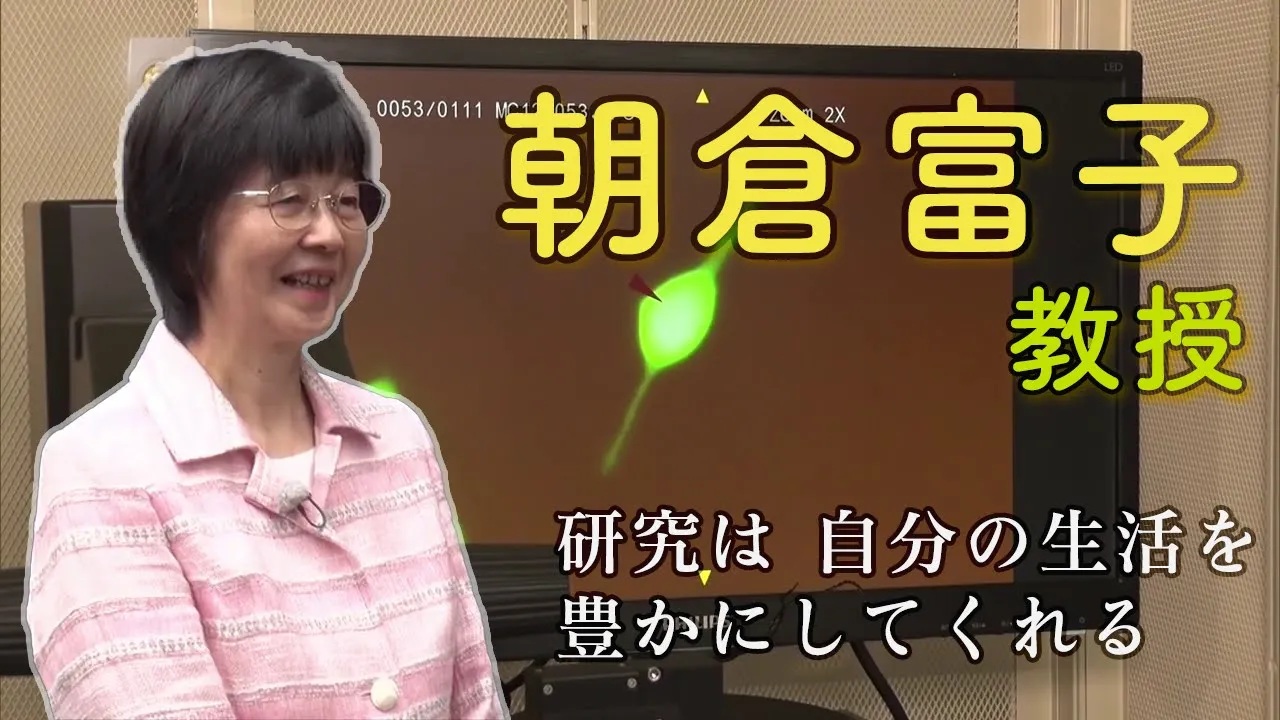 教員紹介_朝倉先生